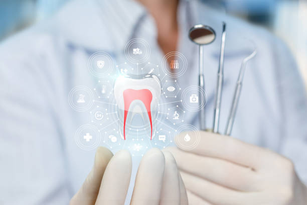 Best Dental X-Rays and Imaging  in Red Bud, IL